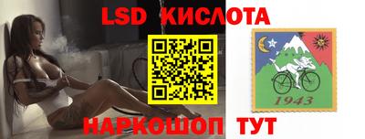 прущие грибы Волгодонск