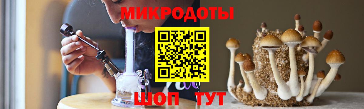 Мурино  Галлюциногенные грибы прущие грибы  Вход с VPN  Галлюциногенные грибы мухоморы 